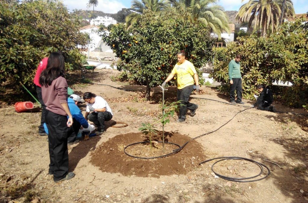 Proyecto de Agricultura