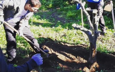 Proyecto de Agricultura