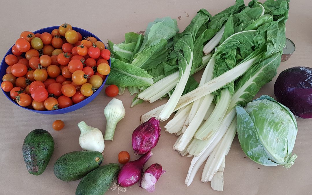 Semana de la alimentación saludable