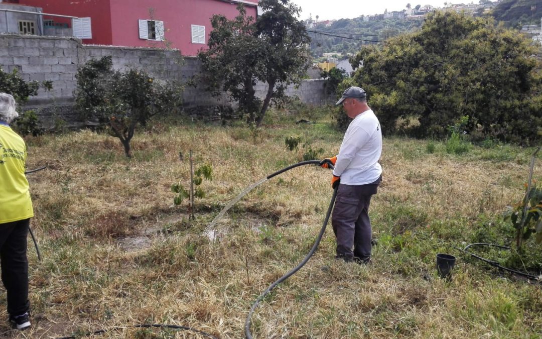 Continuamos con el Proyecto de Agricultura