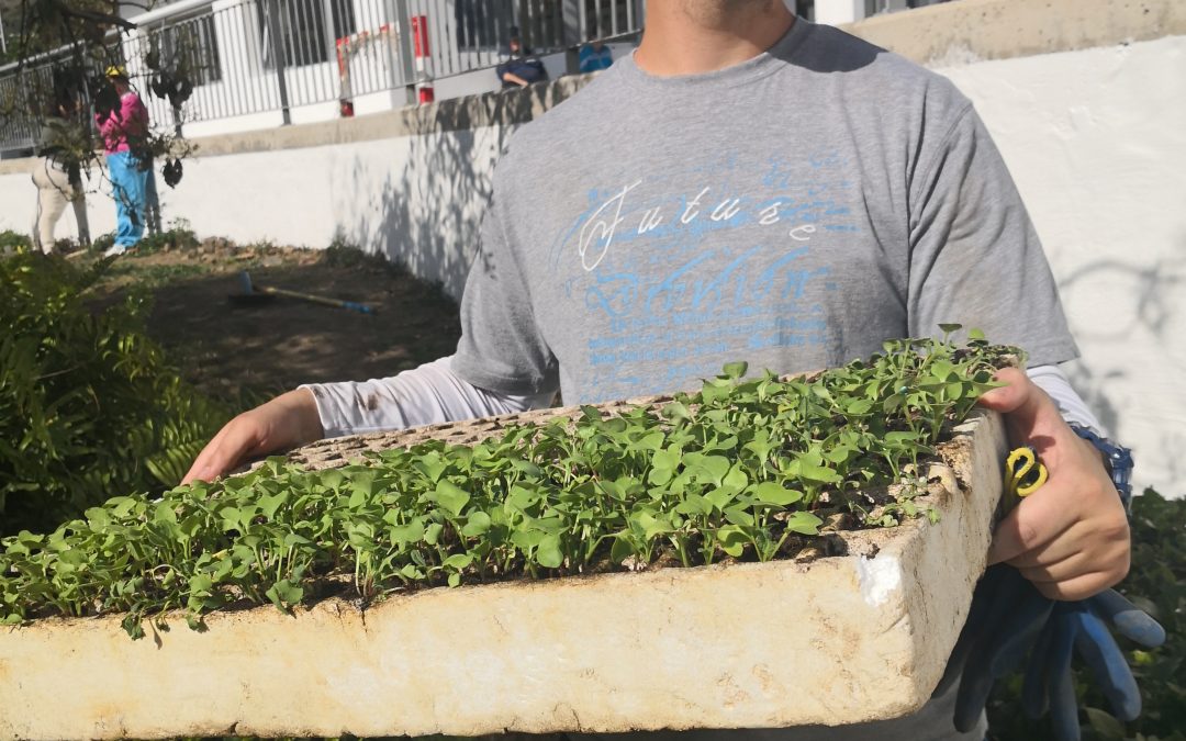 Cuidado de Nuestro Huerto