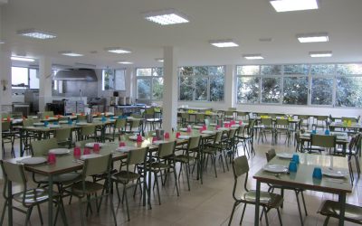 “La alimentación: una necesidad básica”