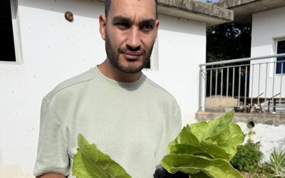 DÍA DE RECOLECTA